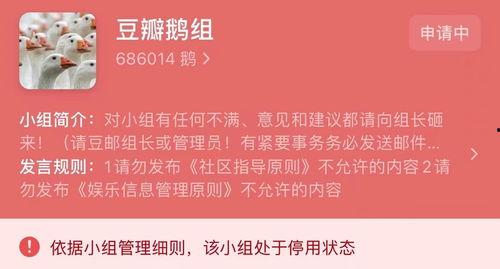 八卦吃瓜爆料互联网,揭秘互联网背后的热点事件与幕后真相