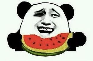 吃瓜爆料手受伤视频