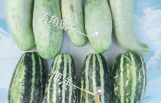 网红吃瓜爆料入口是什么